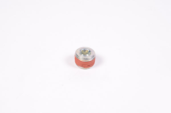 Radium Engineering 14-0173 3/8" NPT Plug, Round Internal Hex