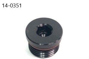 Radium Engineering 14-0351 10AN ORB Plug, Round Internal Hex