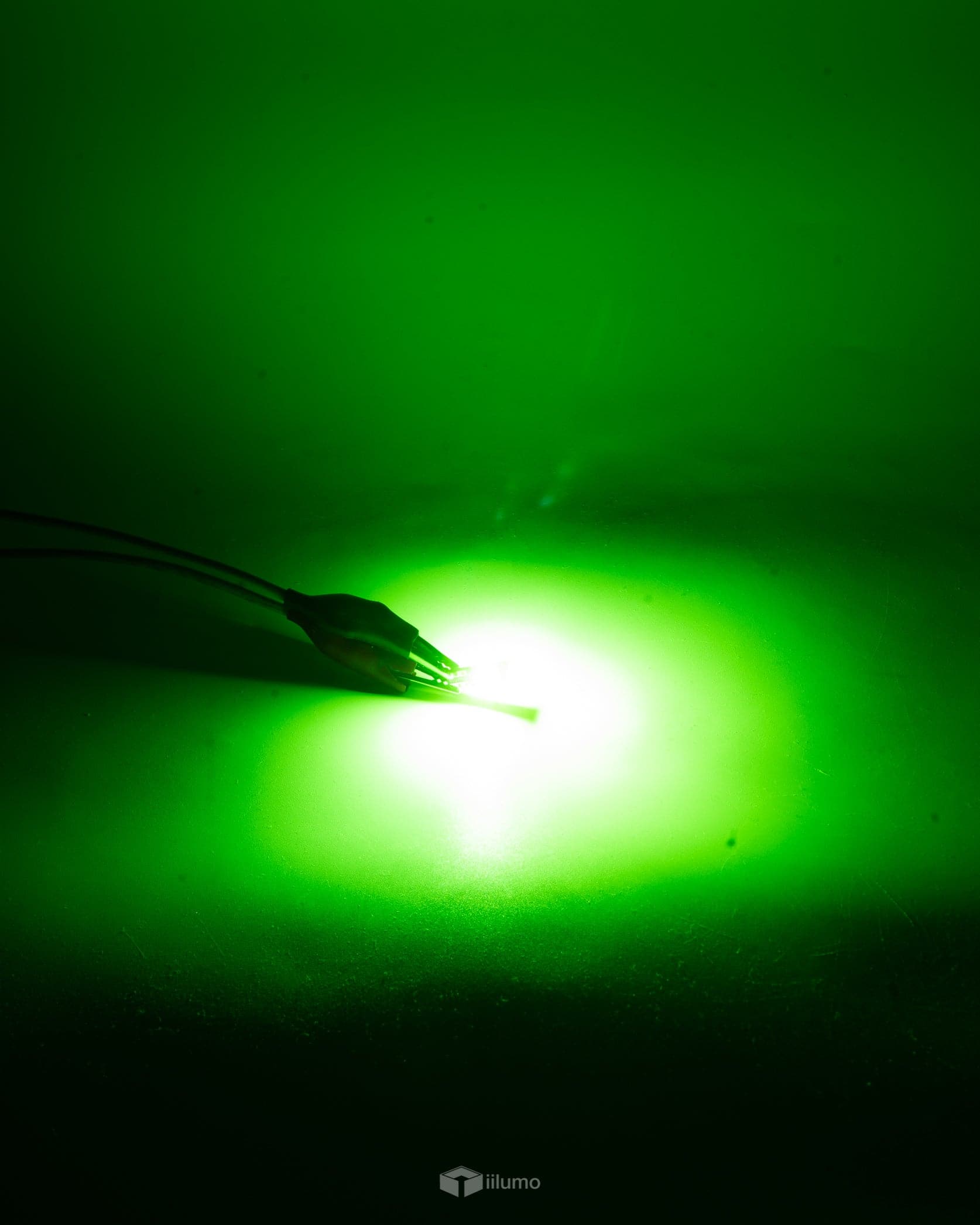T10 LED : GREEN (CANBUS) - iilumolab