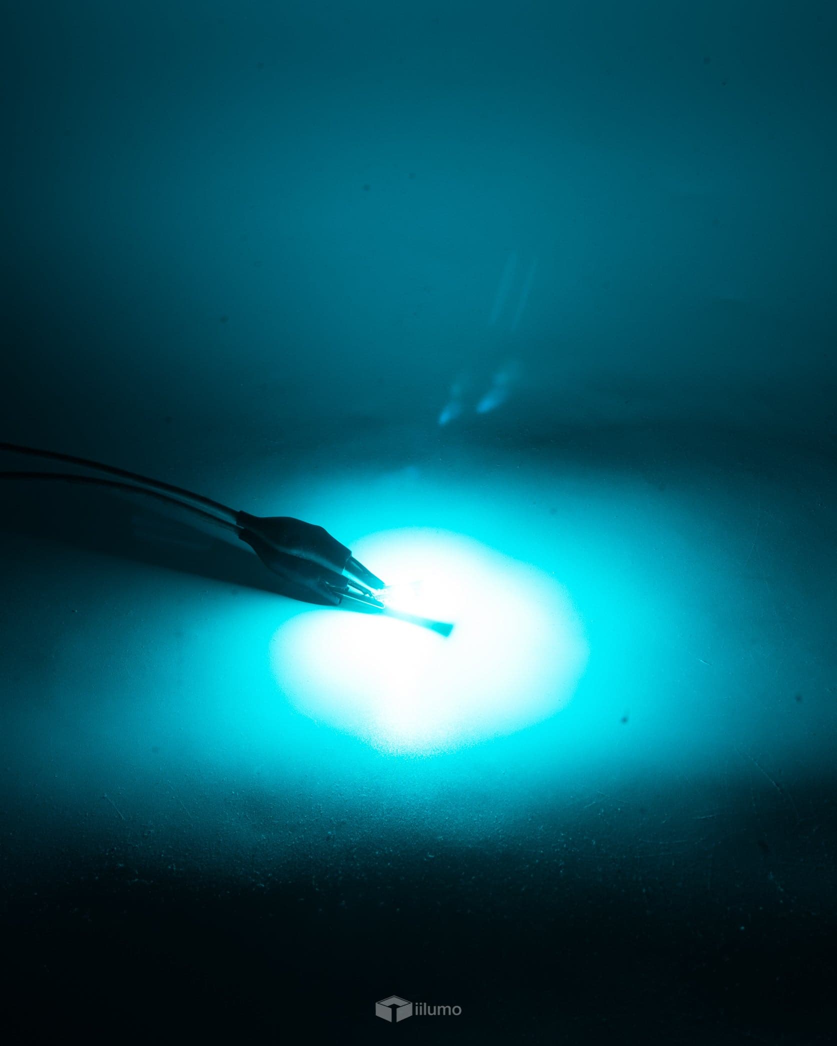 T10 LED : LIGHT BLUE (CANBUS) - iilumolab
