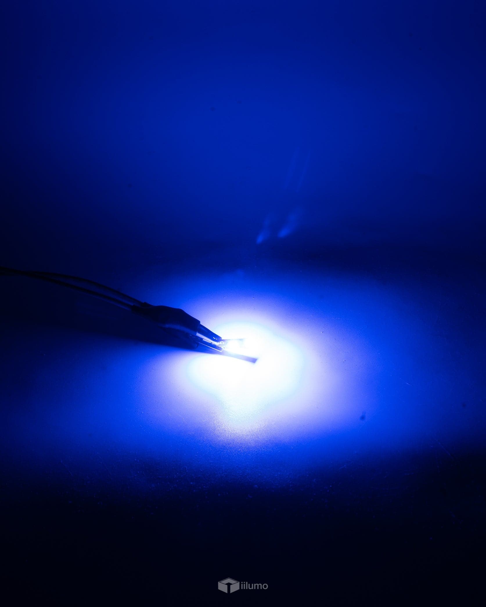 T10 CANBUS LED BULB : BLUE - iilumo