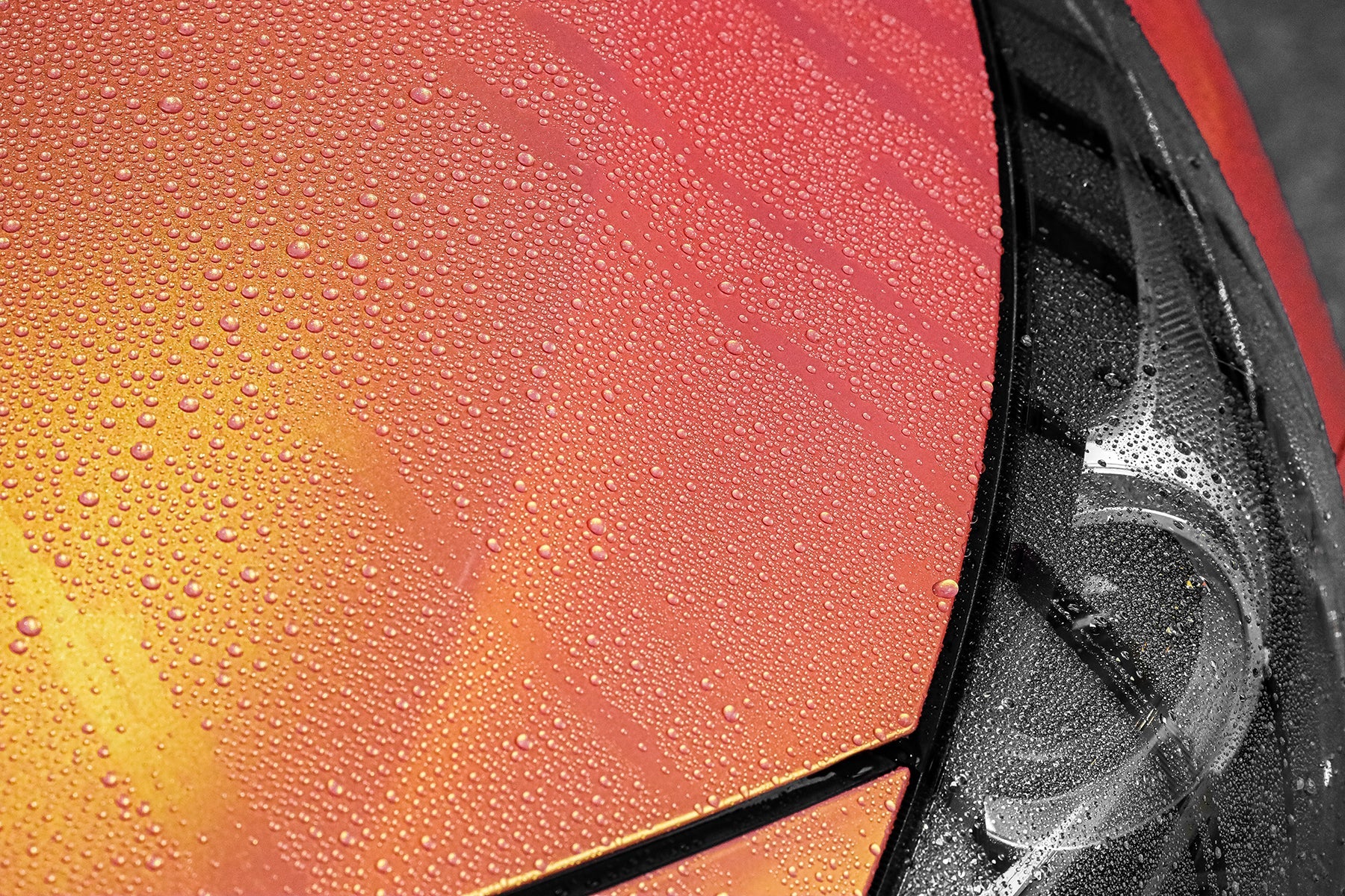 PLATINUM POTIONS : MVPS COAT - iilumolab