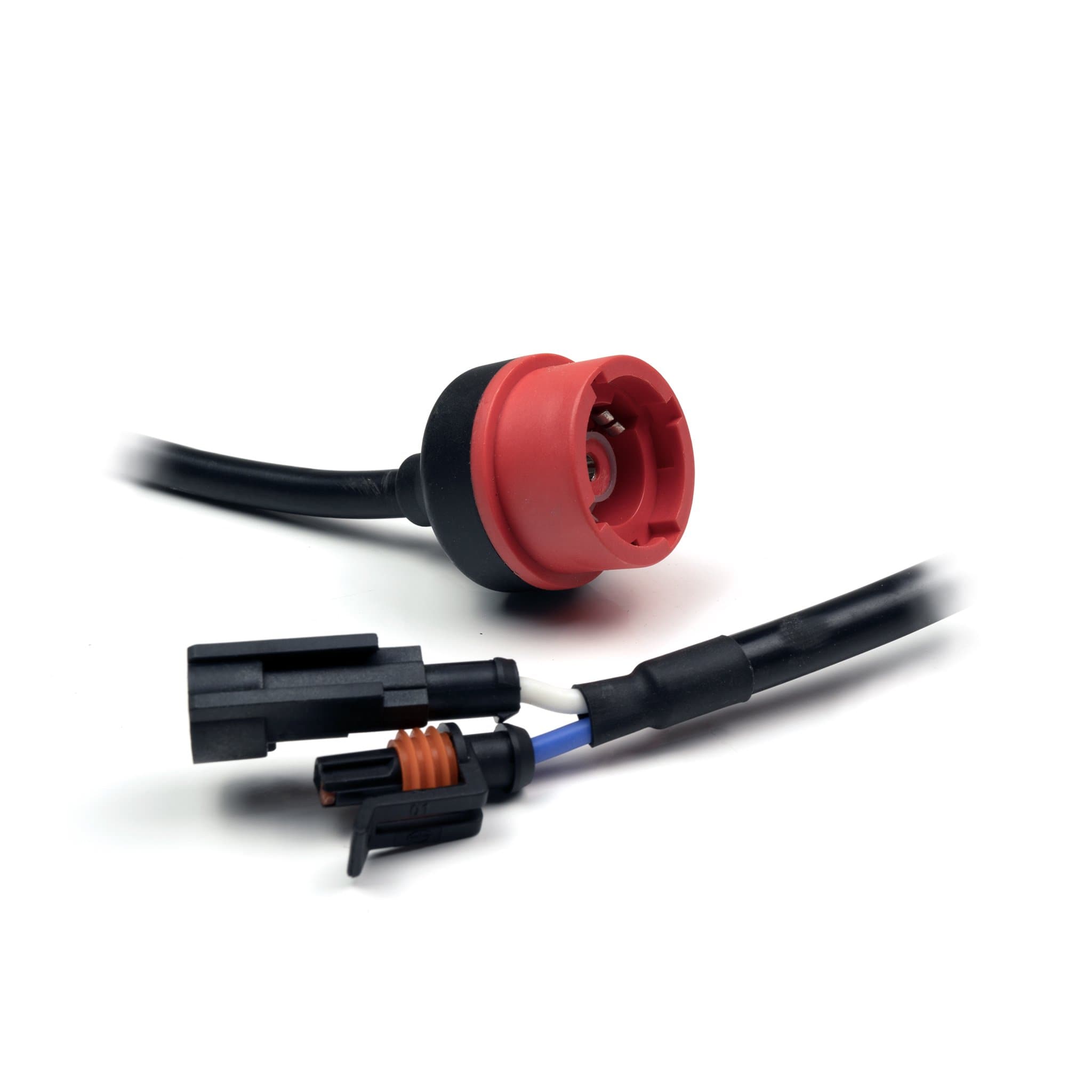 AMP > D2S ADAPTER (STRAIGHT) - iilumo