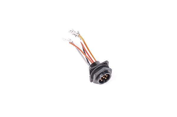 Radium Engineering Old MPFST Internal Bulkhead Harness - Triple Walbro F90000262 Pumps