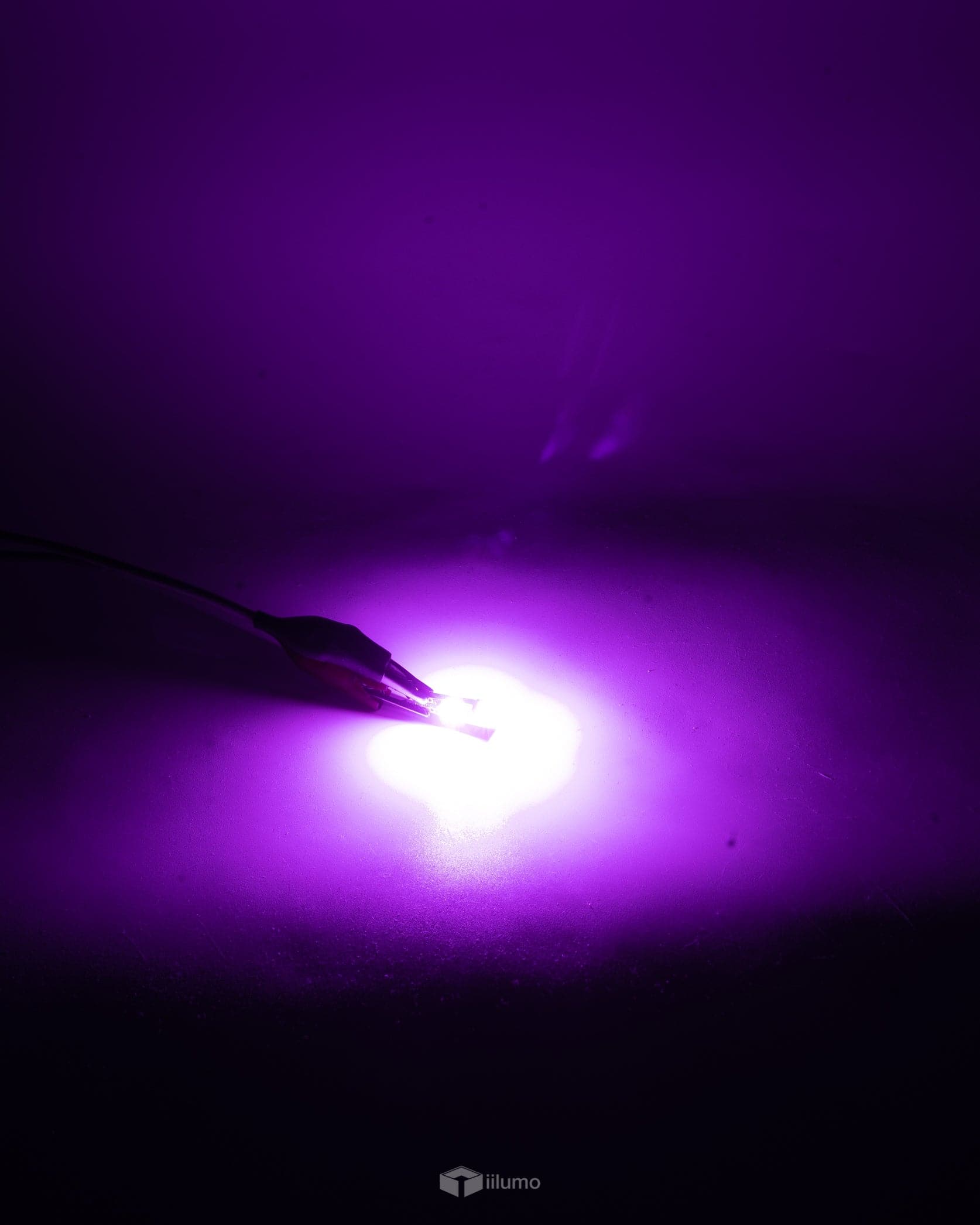 T10 CANBUS LED BULB : PURPLE - iilumo