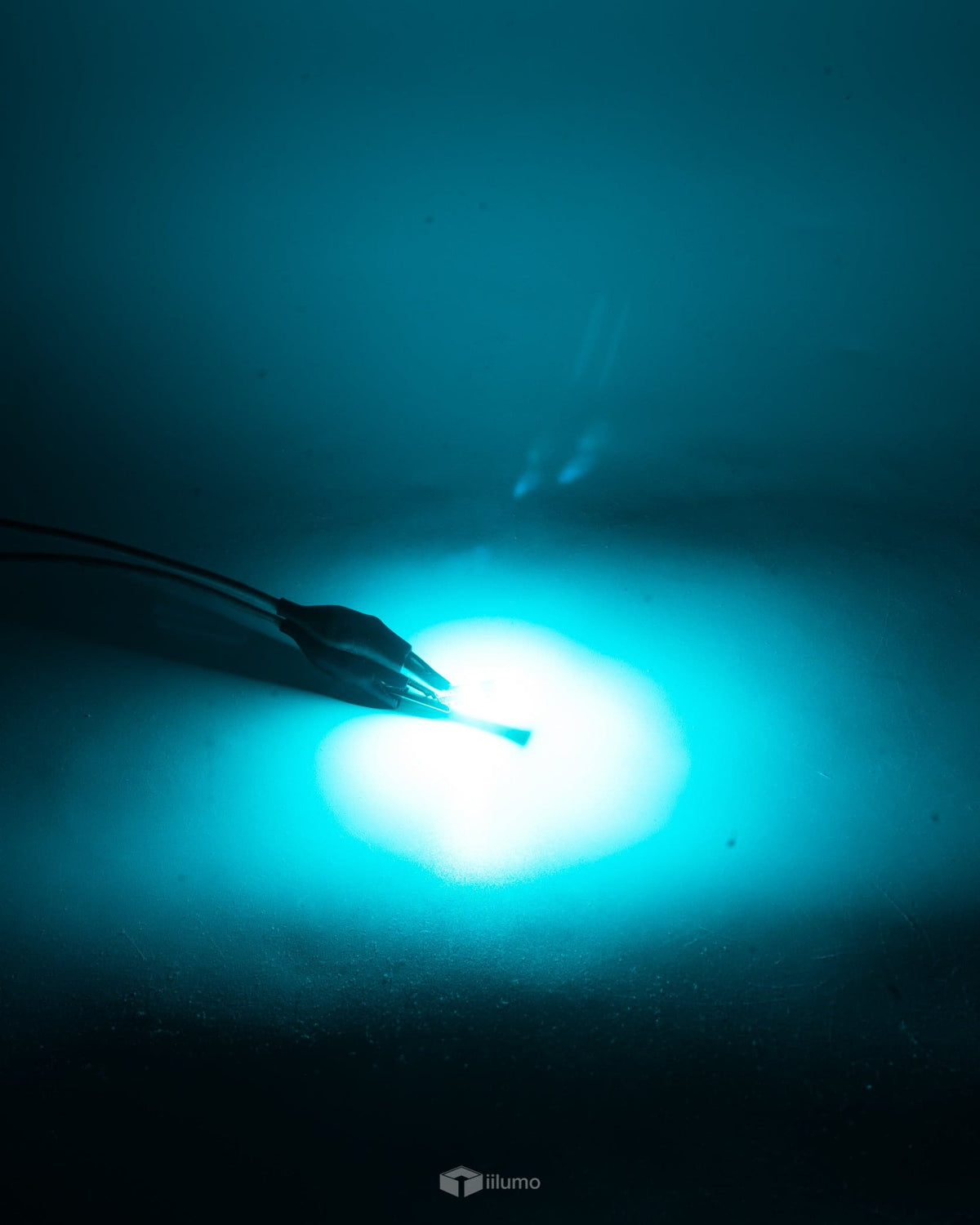 T10 CANBUS LED BULB : COLOURS - iilumo